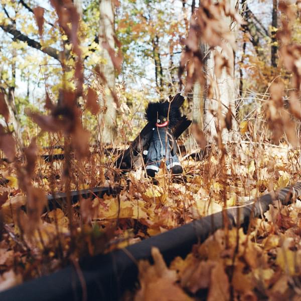 Billy woods golliwog cover