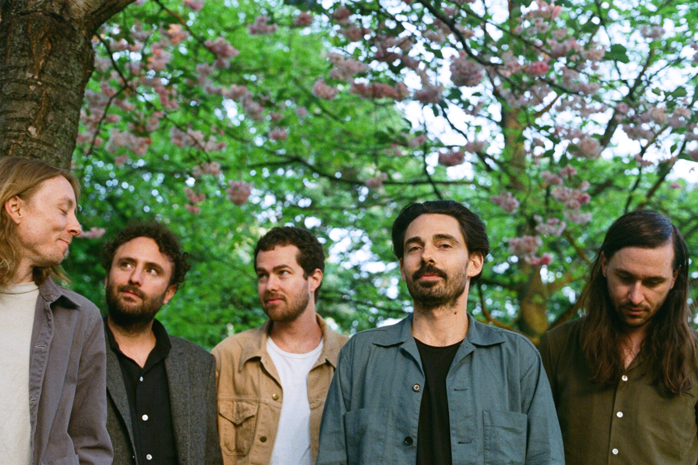 Five Minutes with Local Natives The Line of Best Fit