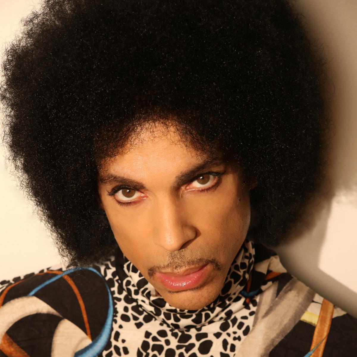 HITNRUN Press Shot prince