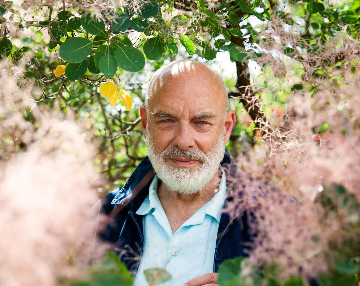 Brian Eno stood between plants and trees for "We Let It In" single