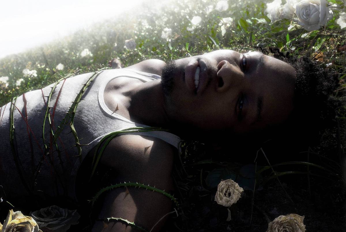 d4vd details forthcoming debut album, WITHERED | The Line of Best Fit