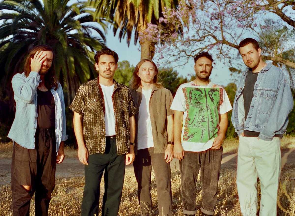 Local natives palm trees 2023