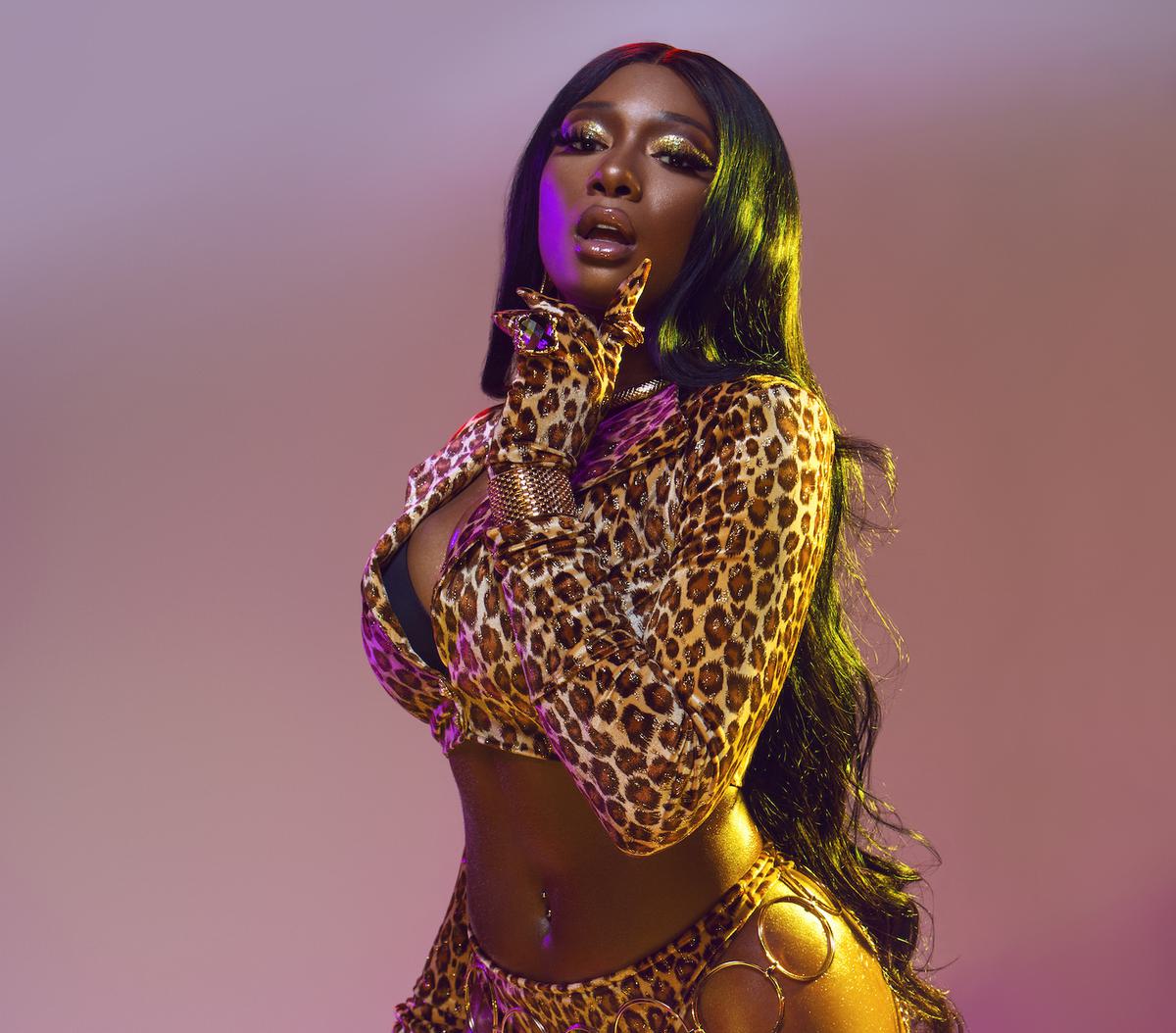 Megan thee stallion bitch