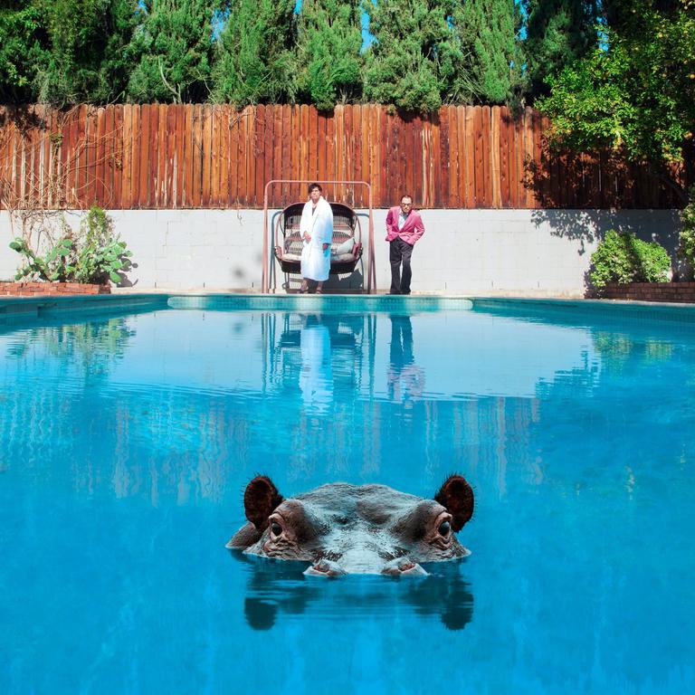 Sparks hippo